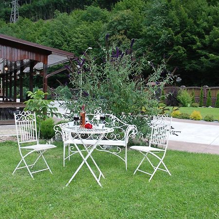 Pensiunea Roua Florilor Hotel Anina Exterior foto