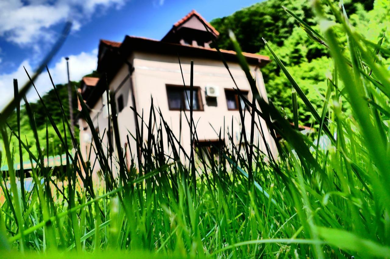 Pensiunea Roua Florilor Hotel Anina Exterior foto