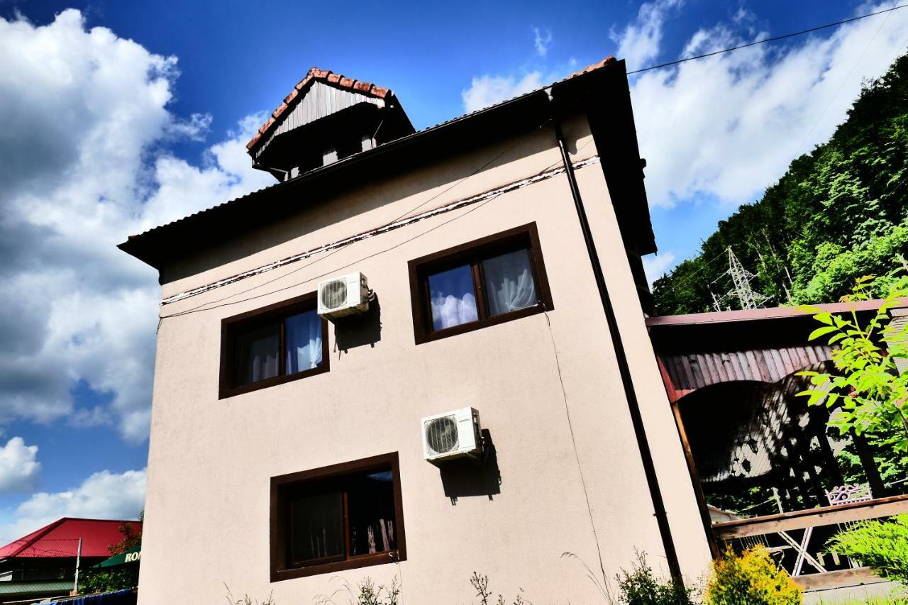 Pensiunea Roua Florilor Hotel Anina Exterior foto