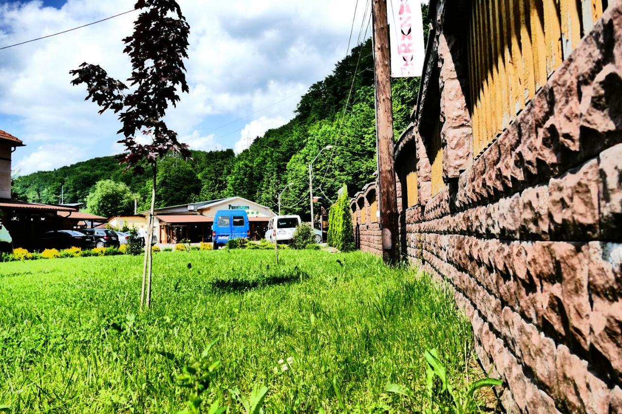 Pensiunea Roua Florilor Hotel Anina Exterior foto