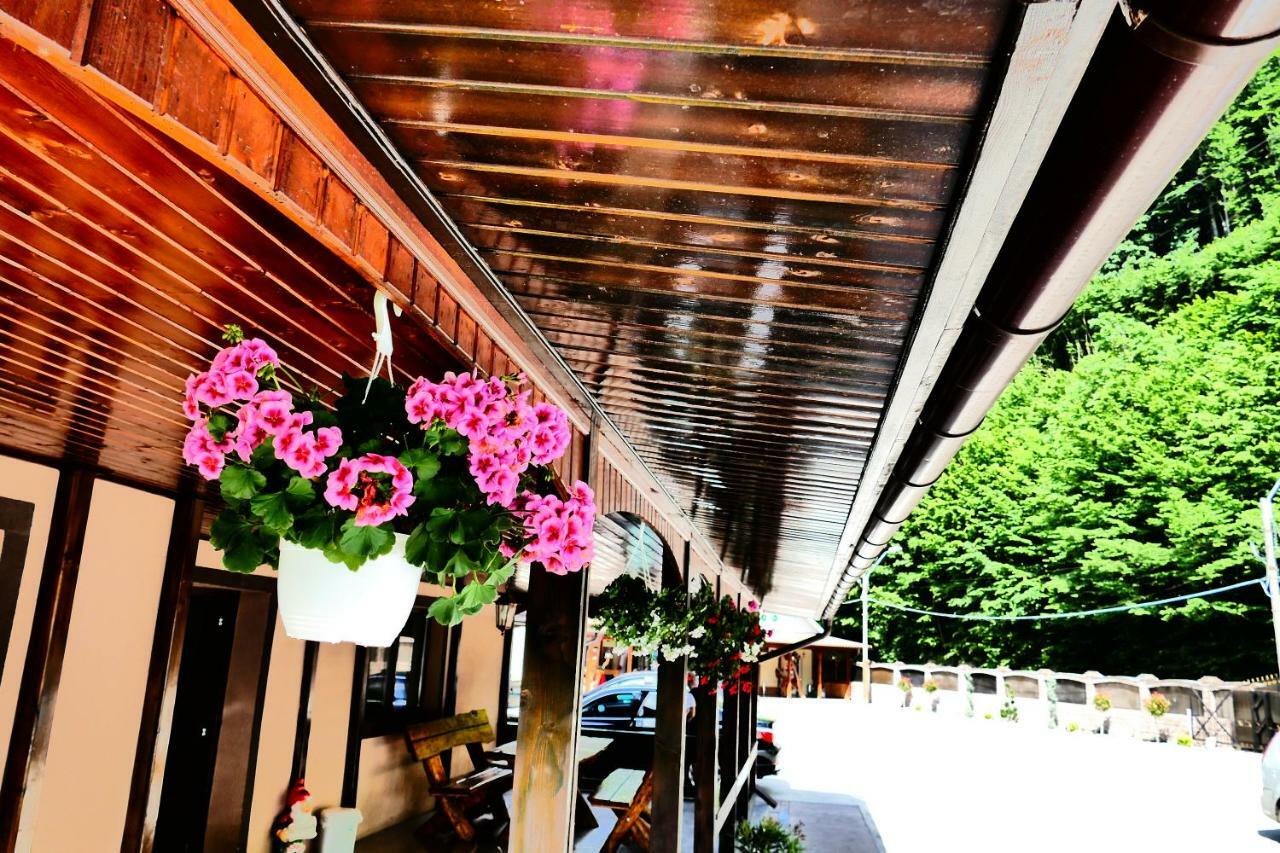 Pensiunea Roua Florilor Hotel Anina Exterior foto