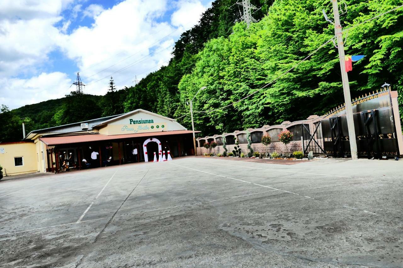 Pensiunea Roua Florilor Hotel Anina Exterior foto
